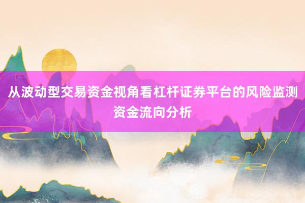 从波动型交易资金视角看杠杆证券平台的风险监测资金流向分析