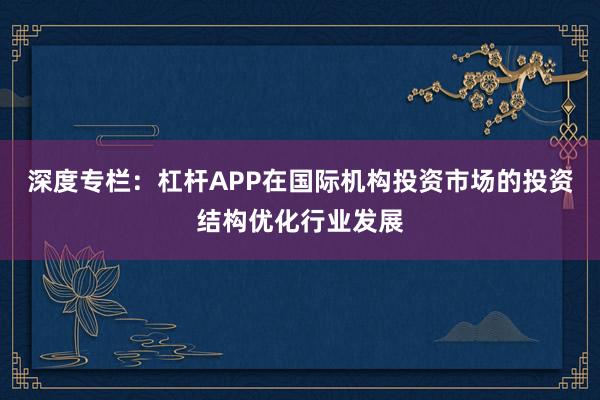 深度专栏：杠杆APP在国际机构投资市场的投资结构优化行业发展