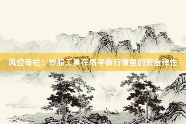 风控专栏：炒股工具在弱平衡行情里的资金弹性