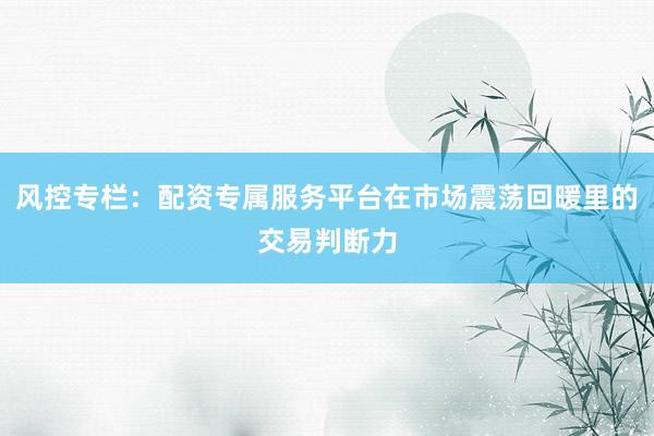 风控专栏:配资专属服务平台在市场震荡回暖里的交易判断力