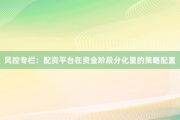 风控专栏：配资平台在资金阶段分化里的策略配置