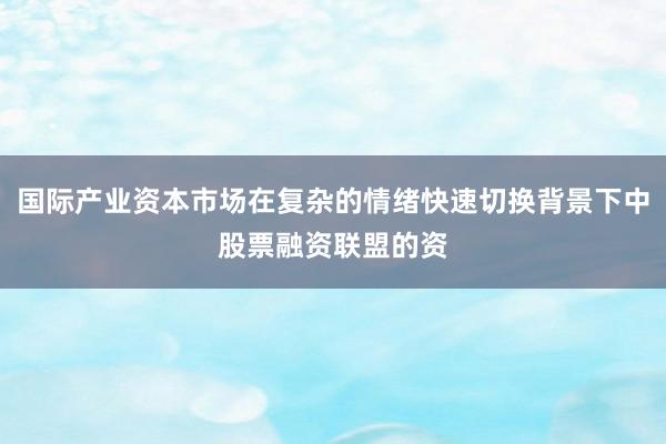 国际产业资本市场在复杂的情绪快速切换背景下中股票融资联盟的资