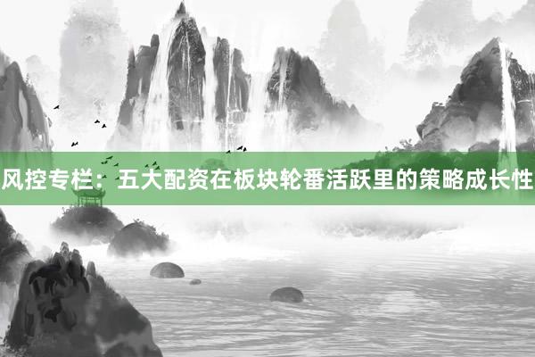 风控专栏：五大配资在板块轮番活跃里的策略成长性