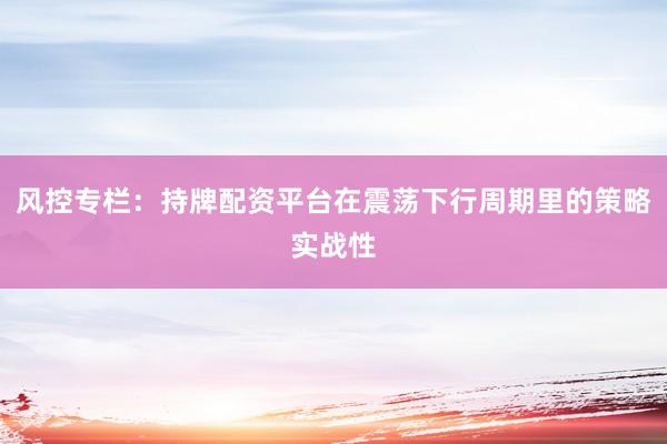 风控专栏：持牌配资平台在震荡下行周期里的策略实战性