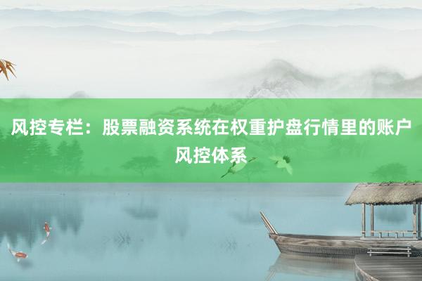 风控专栏：股票融资系统在权重护盘行情里的账户风控体系