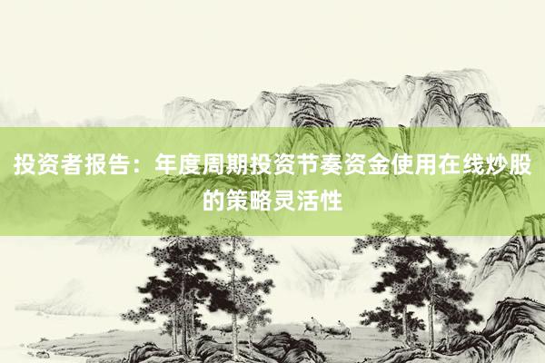 投资者报告：年度周期投资节奏资金使用在线炒股的策略灵活性