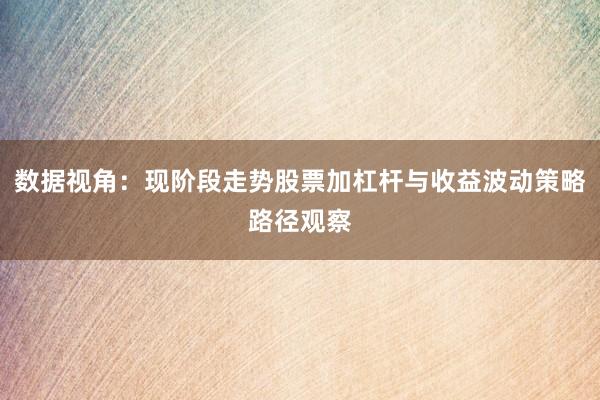 数据视角：现阶段走势股票加杠杆与收益波动策略路径观察