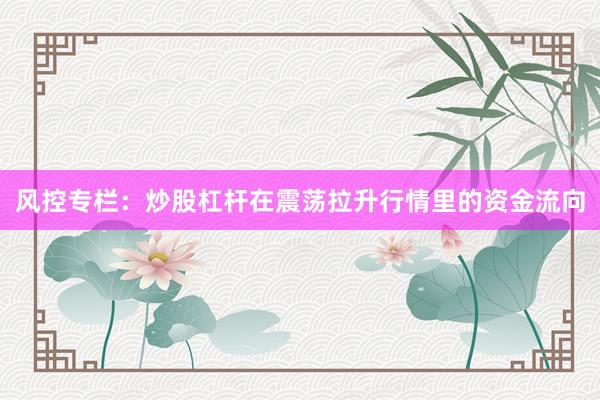 风控专栏：炒股杠杆在震荡拉升行情里的资金流向