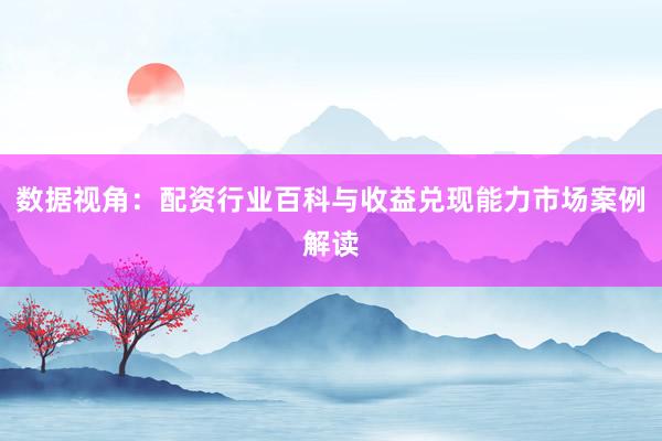 数据视角：配资行业百科与收益兑现能力市场案例解读