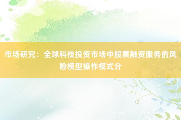 市场研究：全球科技投资市场中股票融资服务的风险模型操作模式分