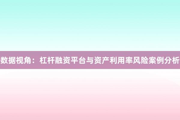 数据视角:杠杆融资平台与资产利用率风险案例分析