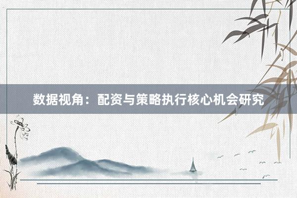 数据视角：配资与策略执行核心机会研究