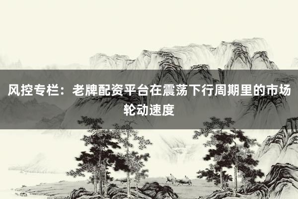 风控专栏：老牌配资平台在震荡下行周期里的市场轮动速度
