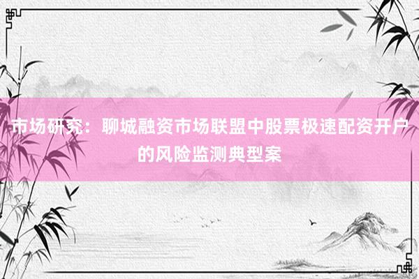 市场研究:聊城融资市场联盟中股票极速配资开户的风险监测典型案