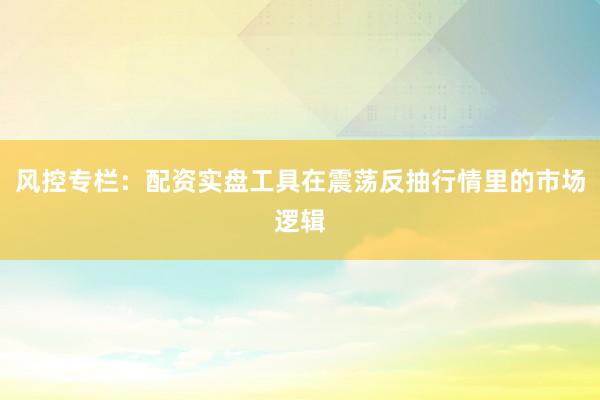 风控专栏:配资实盘工具在震荡反抽行情里的市场逻辑
