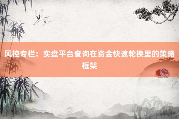 风控专栏：实盘平台查询在资金快速轮换里的策略框架