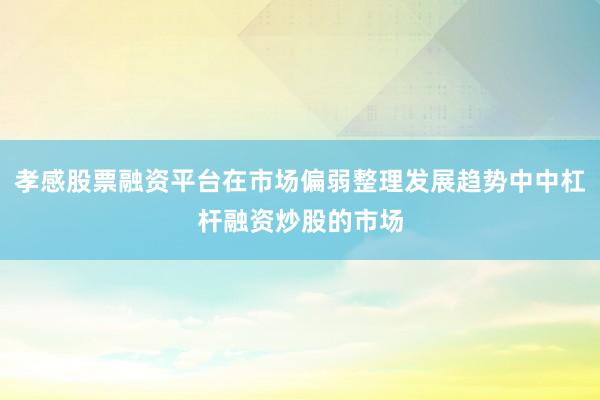 孝感股票融资平台在市场偏弱整理发展趋势中中杠杆融资炒股的市场