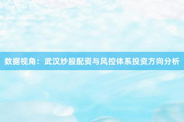 数据视角：武汉炒股配资与风控体系投资方向分析