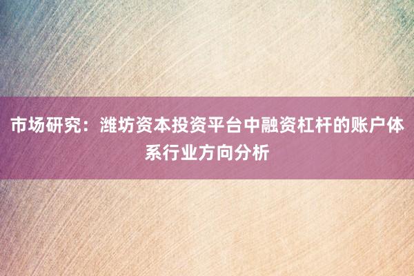 市场研究:潍坊资本投资平台中融资杠杆的账户体系行业方向分析
