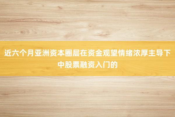 近六个月亚洲资本圈层在资金观望情绪浓厚主导下中股票融资入门的