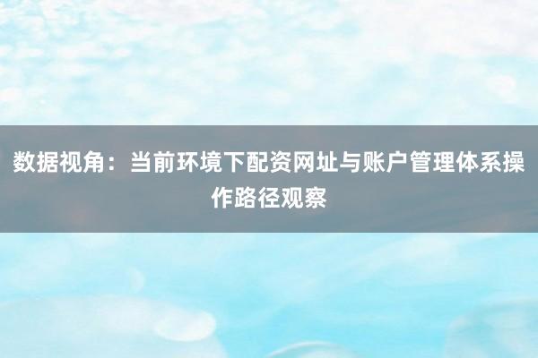 数据视角：当前环境下配资网址与账户管理体系操作路径观察