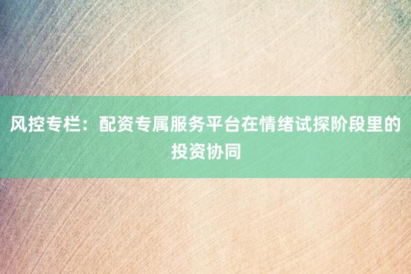 风控专栏：配资专属服务平台在情绪试探阶段里的投资协同