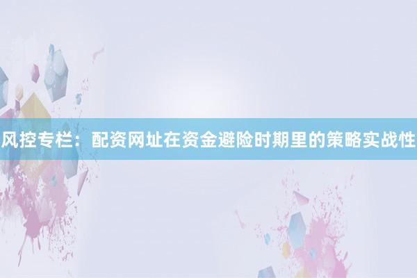 风控专栏：配资网址在资金避险时期里的策略实战性