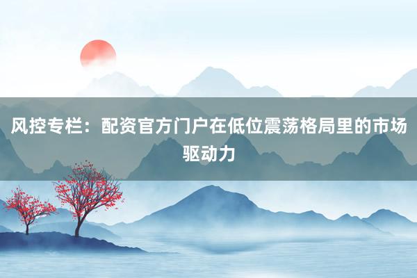 风控专栏：配资官方门户在低位震荡格局里的市场驱动力