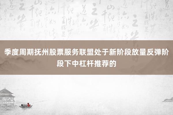 季度周期抚州股票服务联盟处于新阶段放量反弹阶段下中杠杆推荐的