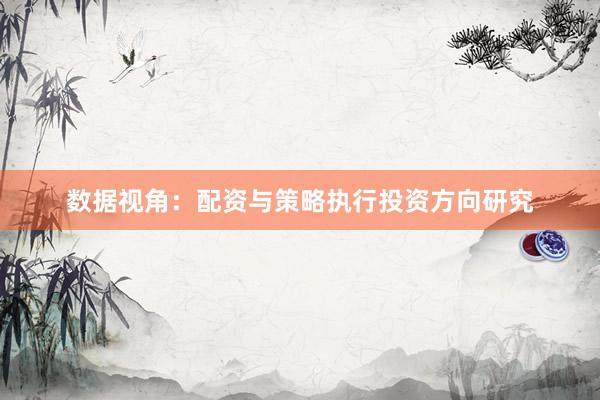 数据视角：配资与策略执行投资方向研究