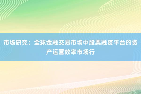 市场研究:全球金融交易市场中股票融资平台的资产运营效率市场行