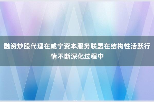 融资炒股代理在咸宁资本服务联盟在结构性活跃行情不断深化过程中