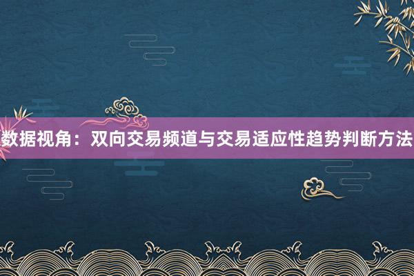 数据视角：双向交易频道与交易适应性趋势判断方法