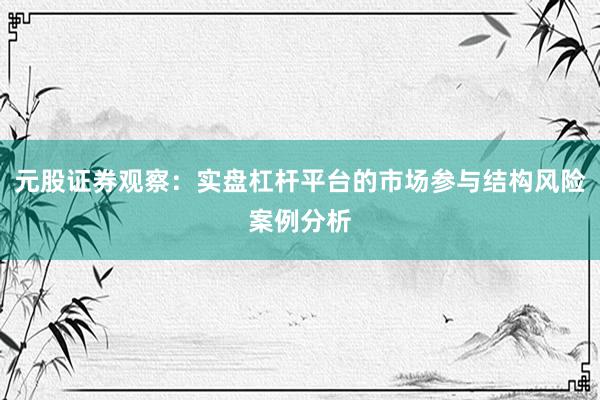 元股证券观察：实盘杠杆平台的市场参与结构风险案例分析