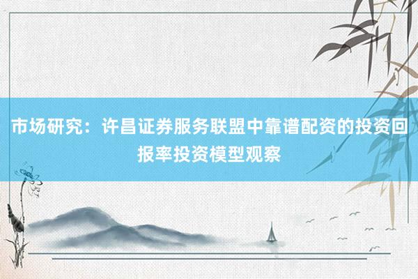 市场研究：许昌证券服务联盟中靠谱配资的投资回报率投资模型观察