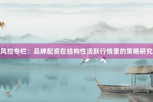 风控专栏:品牌配资在结构性活跃行情里的策略研究