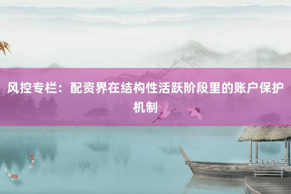 风控专栏：配资界在结构性活跃阶段里的账户保护机制