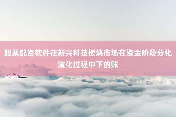 股票配资软件在新兴科技板块市场在资金阶段分化演化过程中下的账