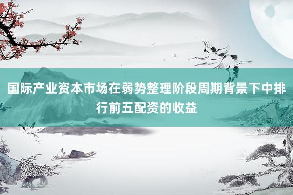 国际产业资本市场在弱势整理阶段周期背景下中排行前五配资的收益