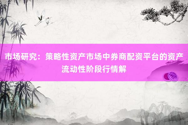 市场研究：策略性资产市场中券商配资平台的资产流动性阶段行情解