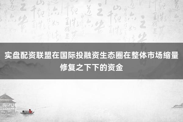 实盘配资联盟在国际投融资生态圈在整体市场缩量修复之下下的资金