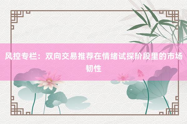风控专栏：双向交易推荐在情绪试探阶段里的市场韧性