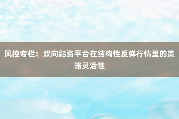 风控专栏：双向融资平台在结构性反弹行情里的策略灵活性