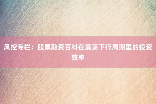 风控专栏：股票融资百科在震荡下行周期里的投资效率
