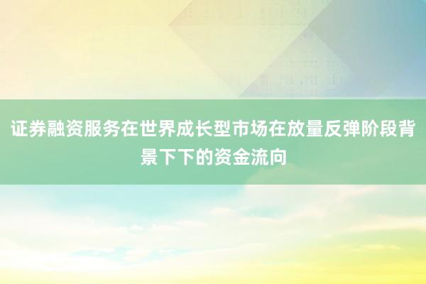 证券融资服务在世界成长型市场在放量反弹阶段背景下下的资金流向