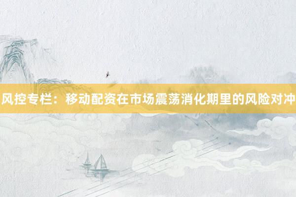 风控专栏：移动配资在市场震荡消化期里的风险对冲