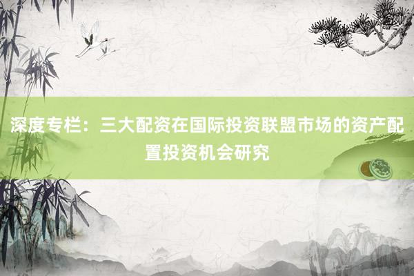 深度专栏：三大配资在国际投资联盟市场的资产配置投资机会研究