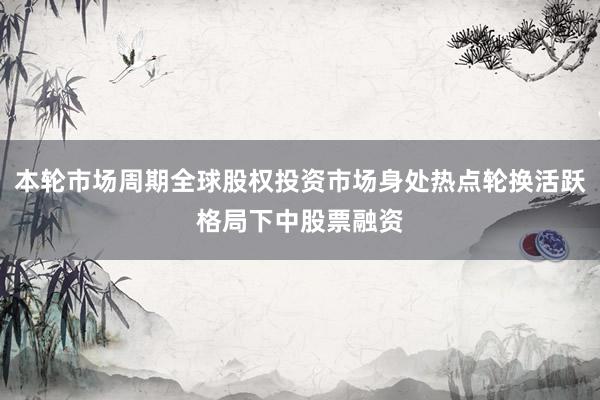 本轮市场周期全球股权投资市场身处热点轮换活跃格局下中股票融资