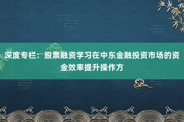 深度专栏：股票融资学习在中东金融投资市场的资金效率提升操作方