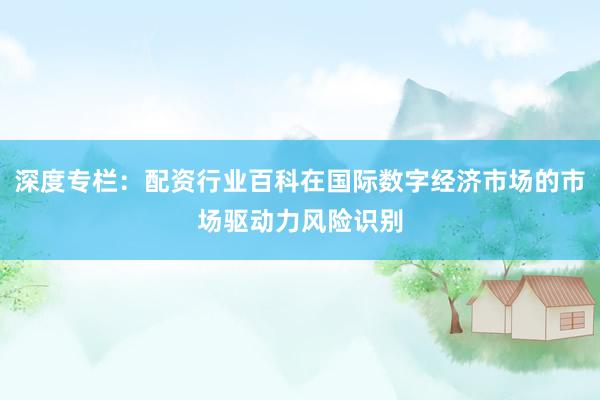深度专栏：配资行业百科在国际数字经济市场的市场驱动力风险识别
